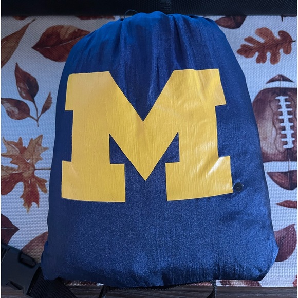 Michigan wolverines hammock - Picture 1 of 2